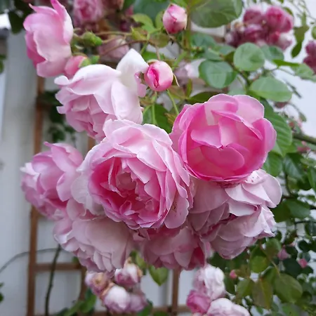 Chateau De Pourpry 3*