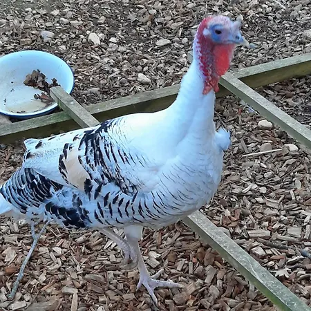 Chateau De Pourpry Gasthof 3*