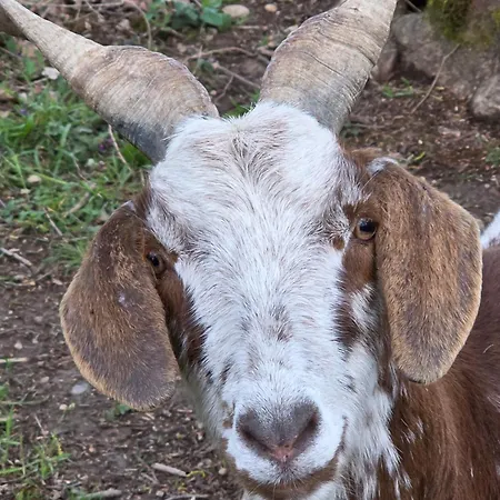 Chateau De Pourpry 3*
