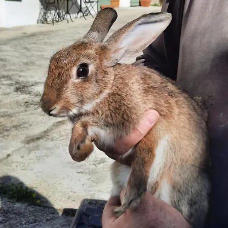 Chateau De Pourpry Gasthof