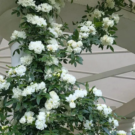 Chateau De Pourpry Gasthof Damiatte