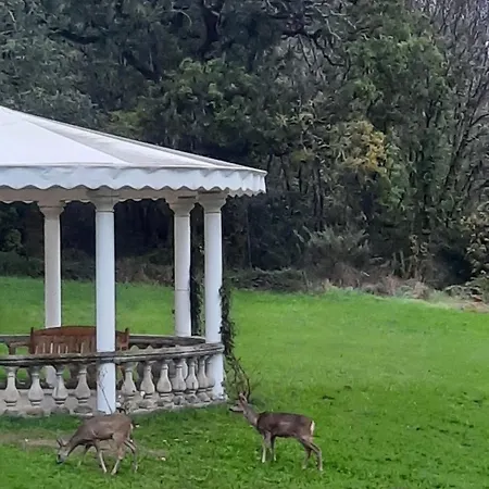 Chateau De Pourpry Pensión Damiatte