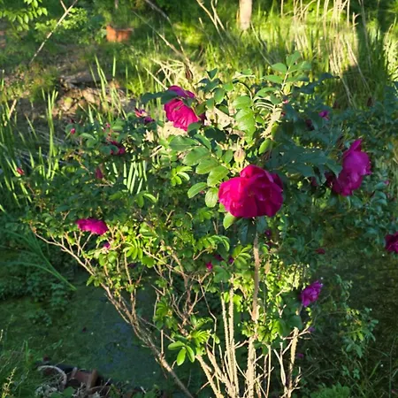 Chateau De Pourpry Gæstehus