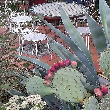 Chateau De Pourpry Pensión