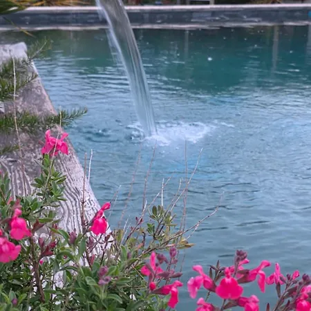 Chateau De Pourpry Damiatte