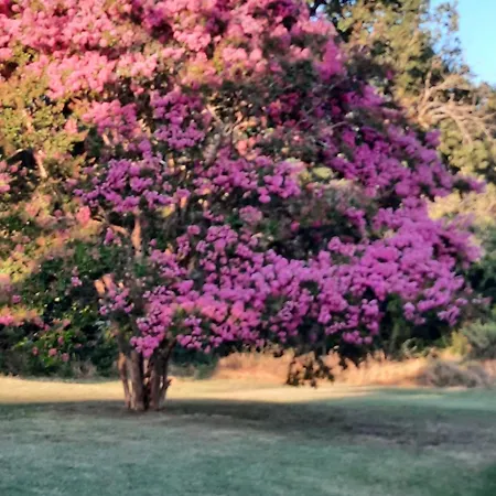 Pensión Chateau De Pourpry 3*