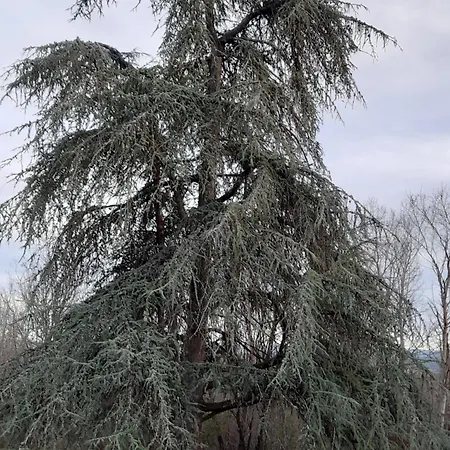Chateau De Pourpry Damiatte