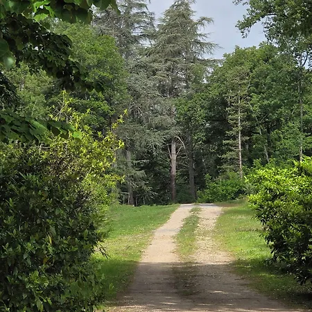 Chateau De Pourpry 3* Damiatte
