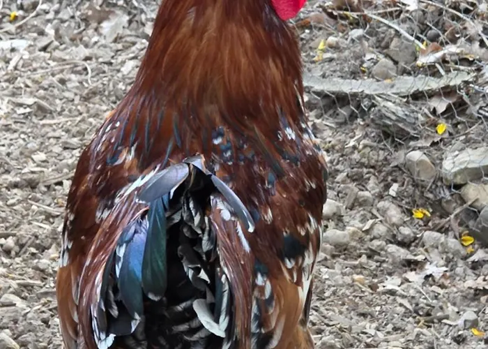 Chateau De Pourpry 3* Damiatte