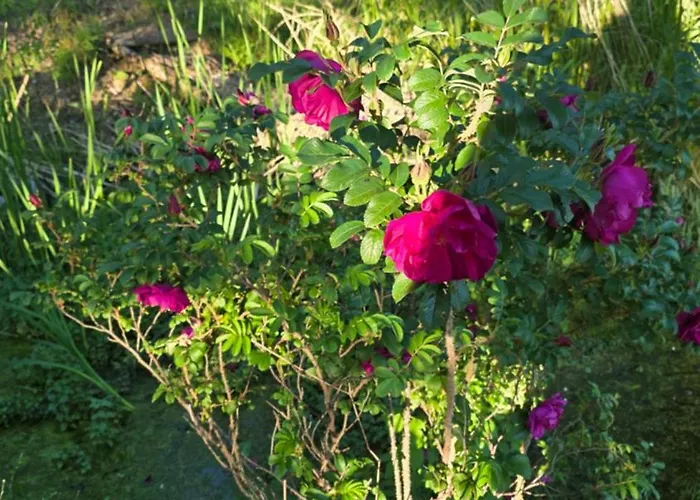 Chateau De Pourpry Gæstehus