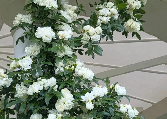 Chateau De Pourpry Gæstehus Damiatte